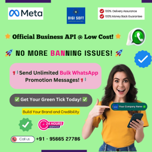 Official Business WhatsApp API